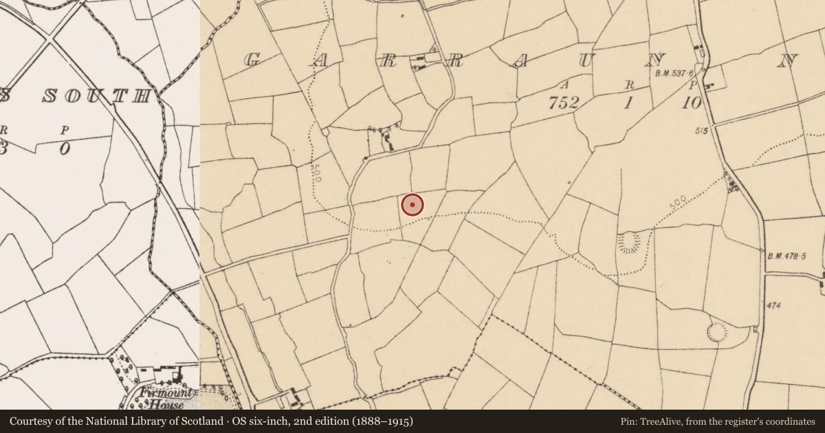 Ordnance Survey six-inch map, 2nd edition (1888–1915) covering the location of Fulacht fia, Garraun North, County Cork, with a pin at the register's coordinates
