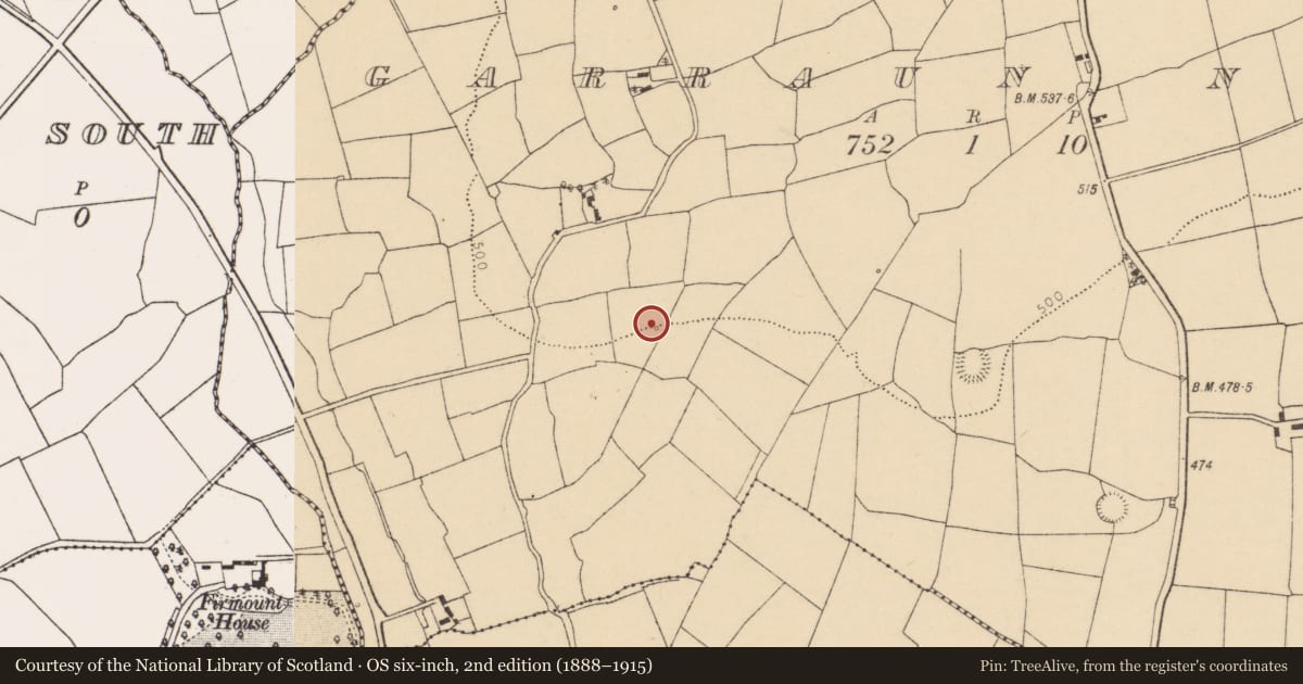 Ordnance Survey six-inch map, 2nd edition (1888–1915) covering the location of Fulacht fia, Garraun North, County Cork, with a pin at the register's coordinates