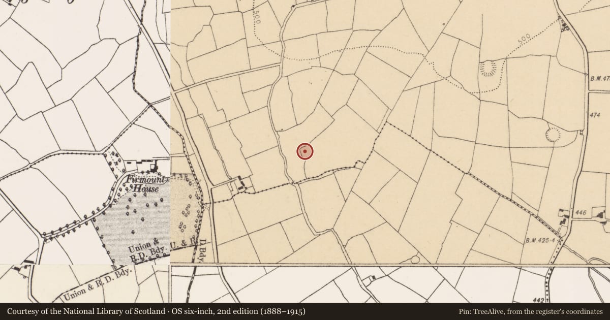 Ordnance Survey six-inch map, 2nd edition (1888–1915) covering the location of Ringfort - rath, Garraun North, County Cork, with a pin at the register's coordinates