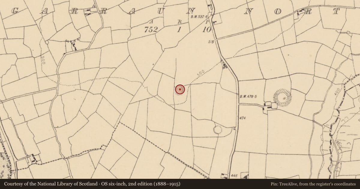 Ordnance Survey six-inch map, 2nd edition (1888–1915) covering the location of Ringfort - rath, Garraun North, County Cork, with a pin at the register's coordinates