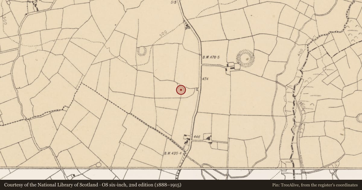 Ordnance Survey six-inch map, 2nd edition (1888–1915) covering the location of Ringfort - rath, Garraun North, County Cork, with a pin at the register's coordinates