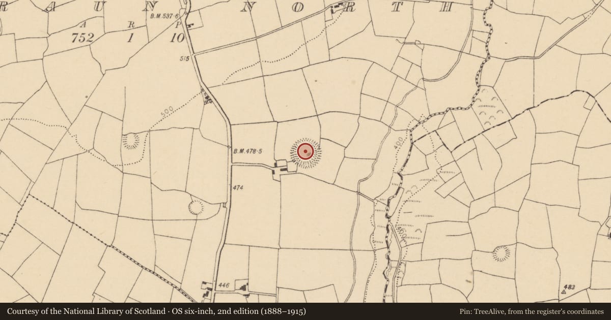 Ordnance Survey six-inch map, 2nd edition (1888–1915) covering the location of Ringfort - rath, Garraun North, County Cork, with a pin at the register's coordinates