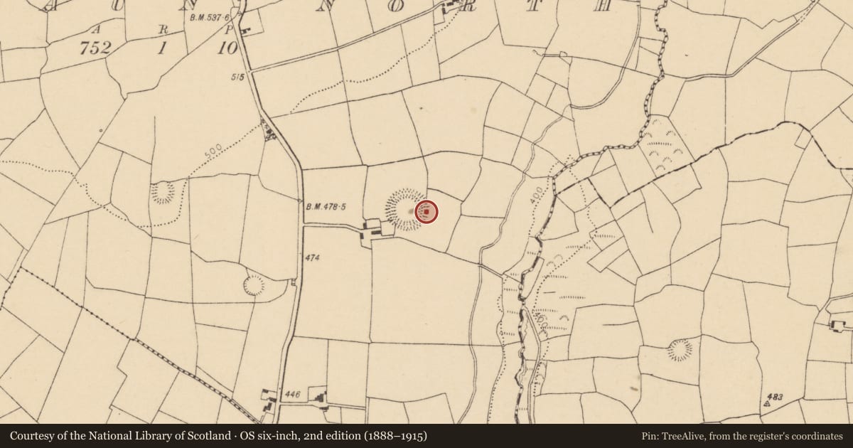 Ordnance Survey six-inch map, 2nd edition (1888–1915) covering the location of Standing stone, Garraun North, County Cork, with a pin at the register's coordinates