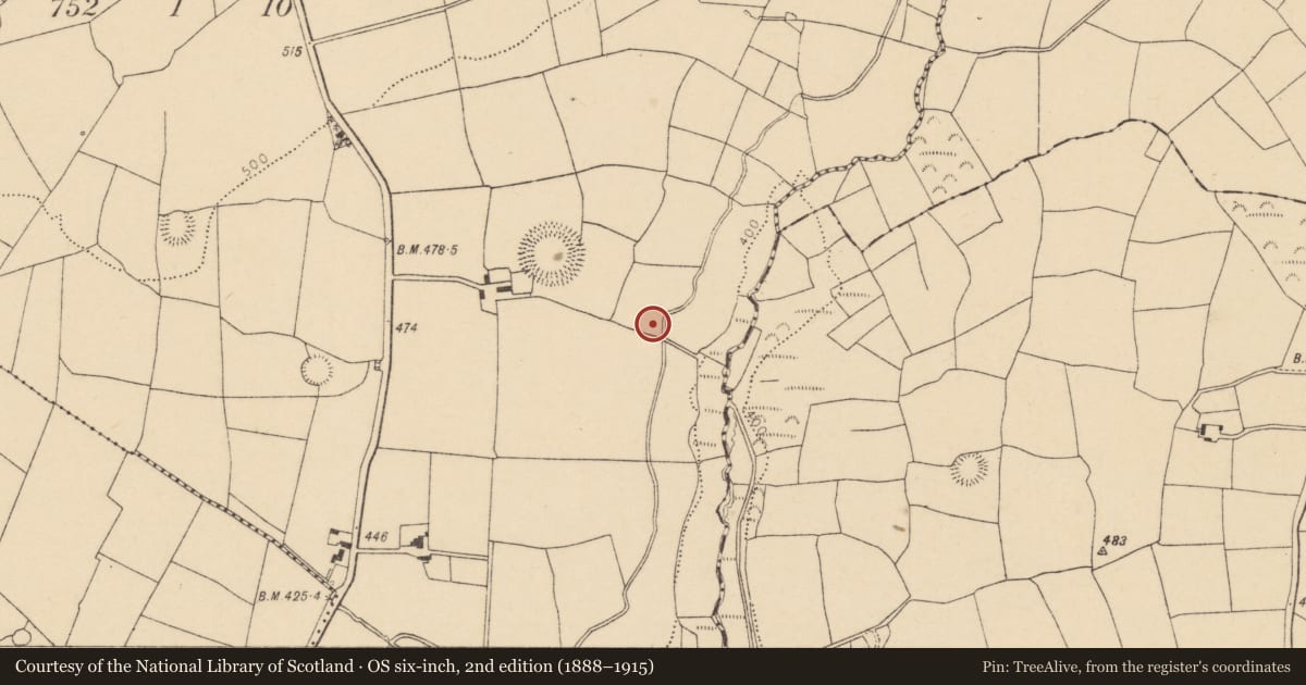 Ordnance Survey six-inch map, 2nd edition (1888–1915) covering the location of Fulacht fia, Garraun North, County Cork, with a pin at the register's coordinates