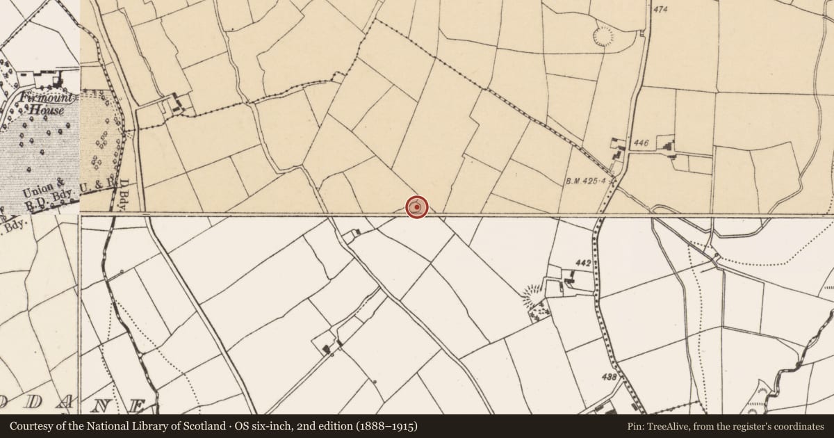 Ordnance Survey six-inch map, 2nd edition (1888–1915) covering the location of Ringfort - rath, Garraun South, County Cork, with a pin at the register's coordinates