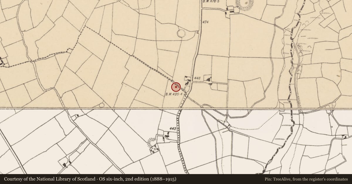 Ordnance Survey six-inch map, 2nd edition (1888–1915) covering the location of Fulacht fia, Garraun South, County Cork, with a pin at the register's coordinates