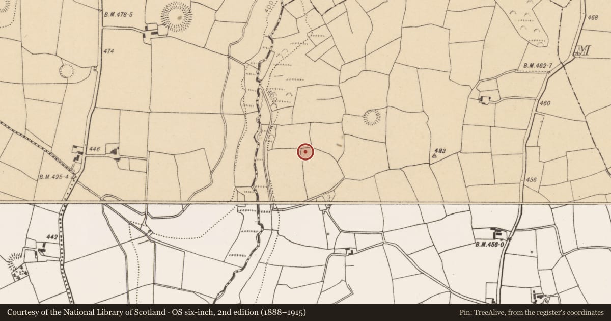 Ordnance Survey six-inch map, 2nd edition (1888–1915) covering the location of Ringfort - rath, Courtbrack, County Cork, with a pin at the register's coordinates