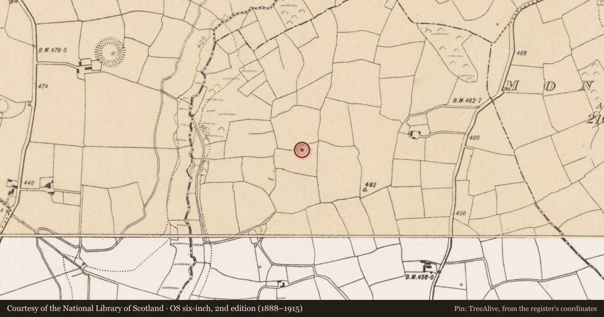 Ordnance Survey six-inch map, 2nd edition (1888–1915) covering the location of Ringfort - rath, Courtbrack, County Cork, with a pin at the register's coordinates