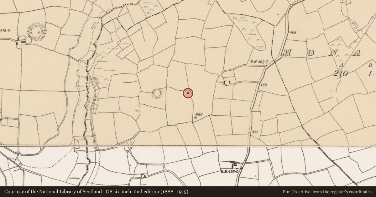 Ordnance Survey six-inch map, 2nd edition (1888–1915) covering the location of Ringfort - rath, Courtbrack, County Cork, with a pin at the register's coordinates