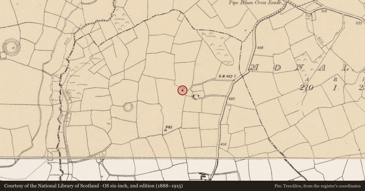 Ordnance Survey six-inch map, 2nd edition (1888–1915) covering the location of Ringfort - rath, Courtbrack, County Cork, with a pin at the register's coordinates