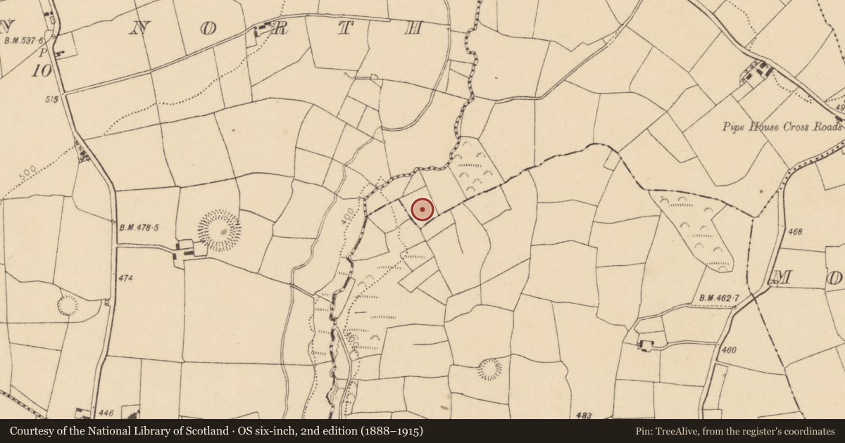 Ordnance Survey six-inch map, 2nd edition (1888–1915) covering the location of Fulacht fia, Garryadeen, County Cork, with a pin at the register's coordinates
