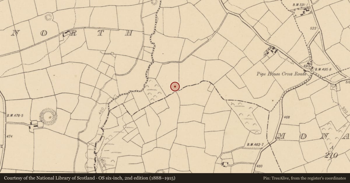 Ordnance Survey six-inch map, 2nd edition (1888–1915) covering the location of Fulacht fia, Garryadeen, County Cork, with a pin at the register's coordinates