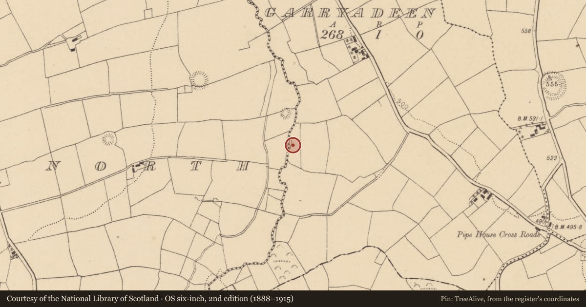 Ordnance Survey six-inch map, 2nd edition (1888–1915) covering the location of Standing stone, Garryadeen, County Cork, with a pin at the register's coordinates