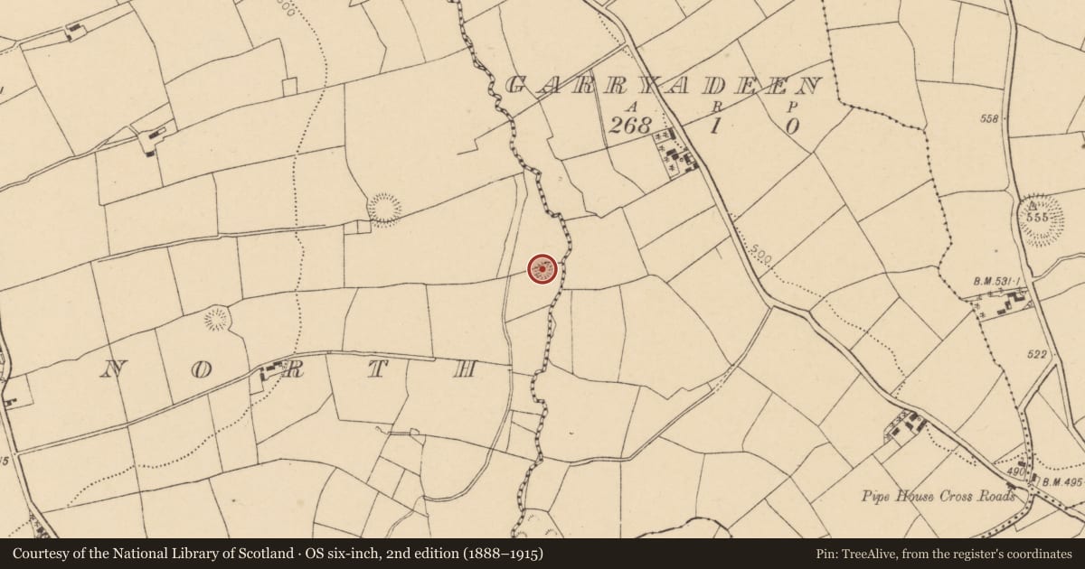 Ordnance Survey six-inch map, 2nd edition (1888–1915) covering the location of Enclosure, Garraun North, County Cork, with a pin at the register's coordinates