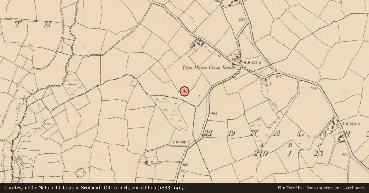 Ordnance Survey six-inch map, 2nd edition (1888–1915) covering the location of Fulacht fia, Garryadeen, County Cork, with a pin at the register's coordinates