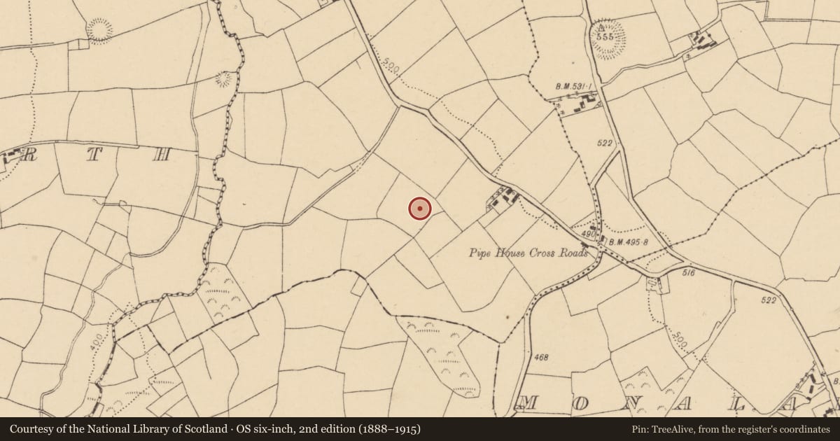 Ordnance Survey six-inch map, 2nd edition (1888–1915) covering the location of Fulacht fia, Garryadeen, County Cork, with a pin at the register's coordinates