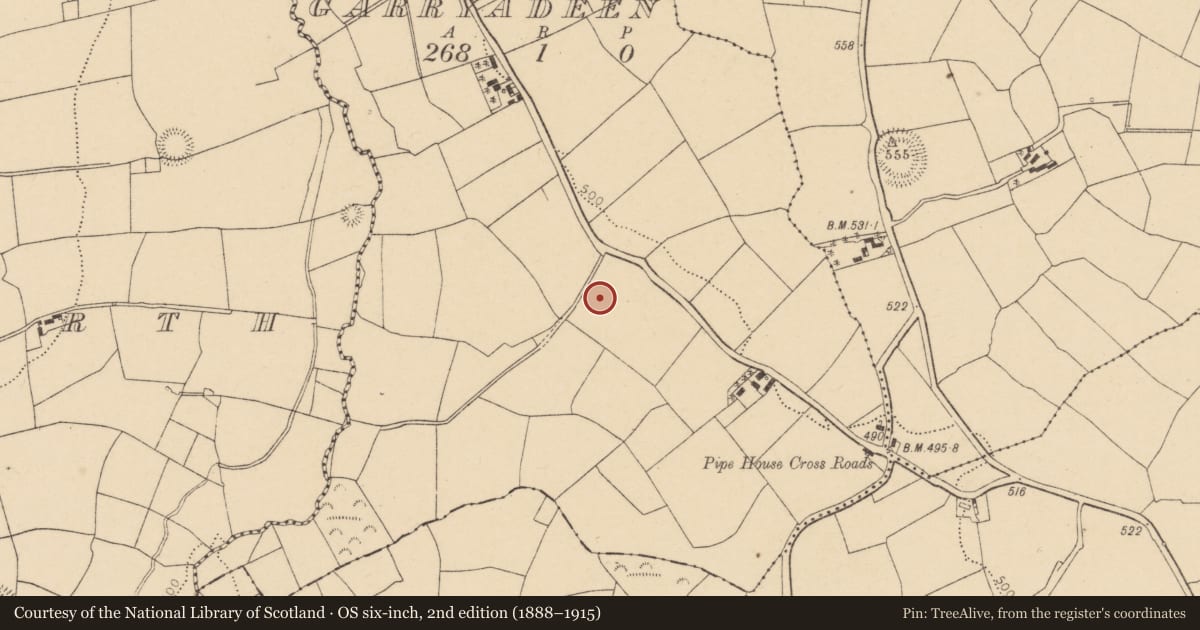 Ordnance Survey six-inch map, 2nd edition (1888–1915) covering the location of Fulacht fia, Garryadeen, County Cork, with a pin at the register's coordinates