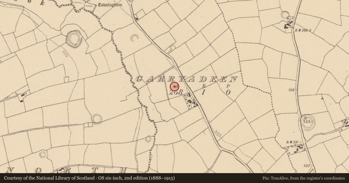 Ordnance Survey six-inch map, 2nd edition (1888–1915) covering the location of Standing stone, Garryadeen, County Cork, with a pin at the register's coordinates
