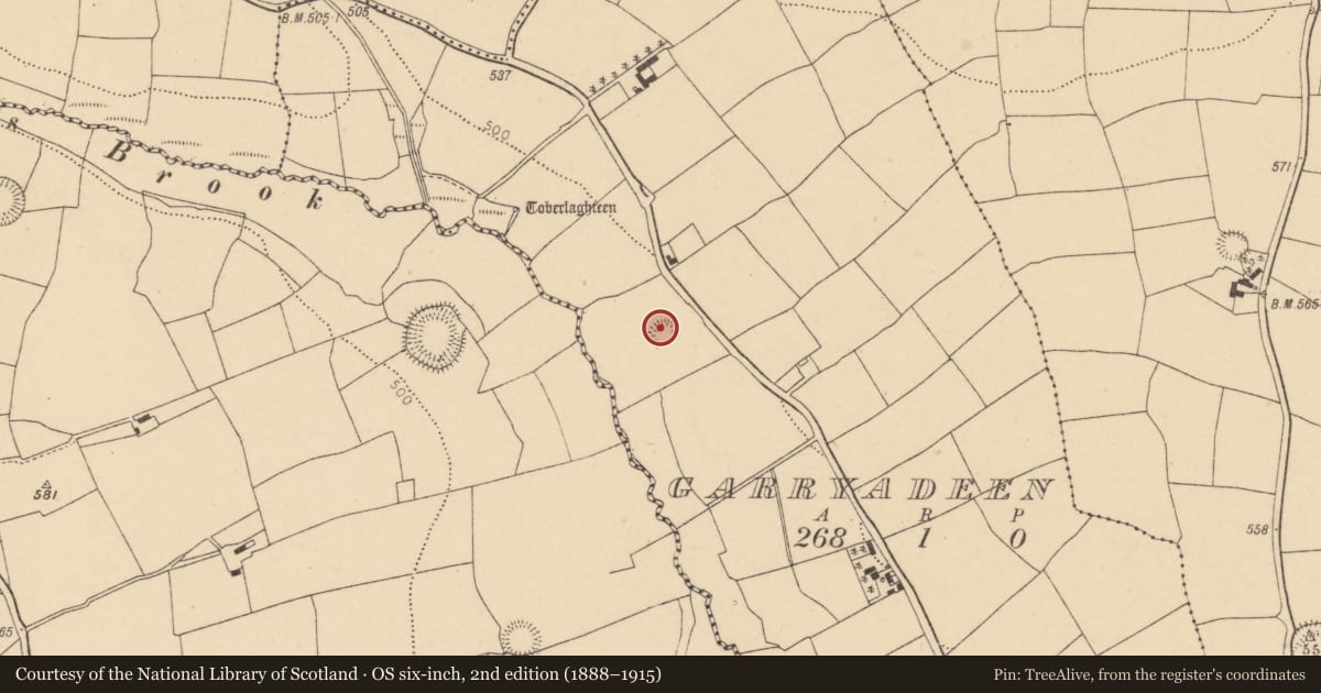 Ordnance Survey six-inch map, 2nd edition (1888–1915) covering the location of Ringfort - rath, Garryadeen, County Cork, with a pin at the register's coordinates