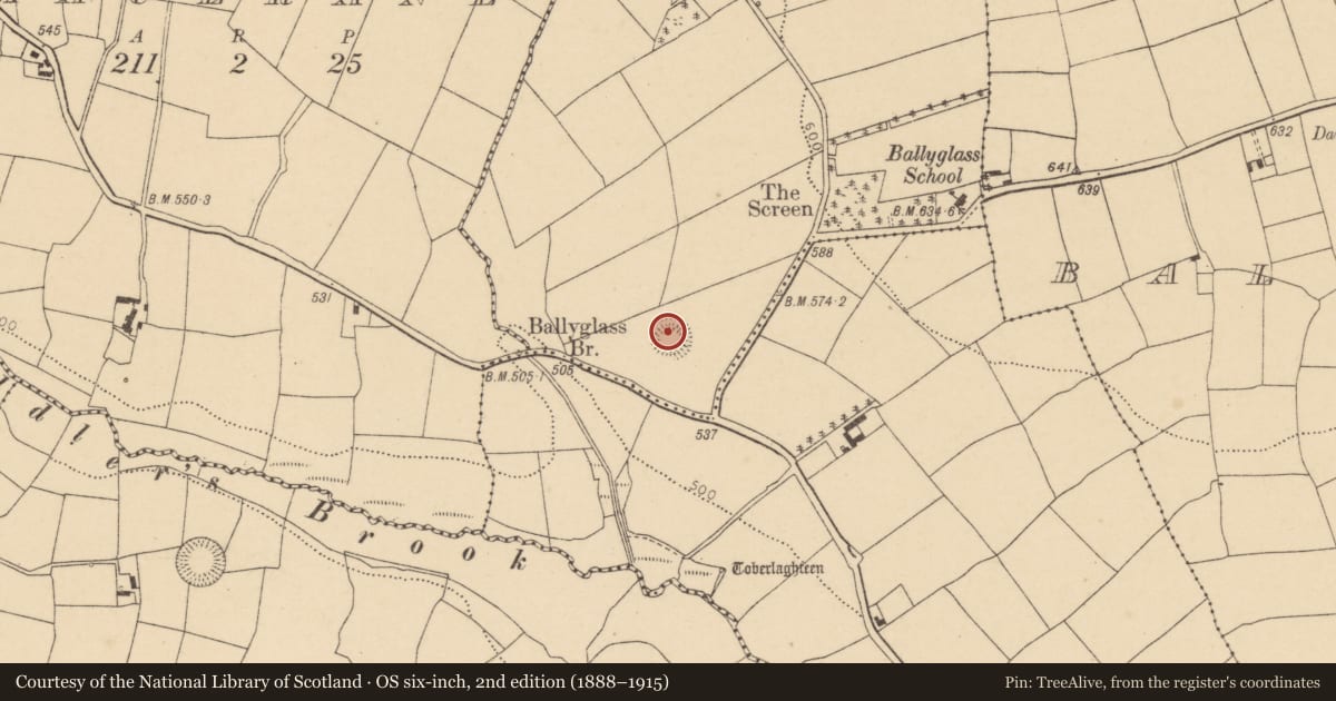 Ordnance Survey six-inch map, 2nd edition (1888–1915) covering the location of Ringfort - rath, Ballyglass, County Cork, with a pin at the register's coordinates