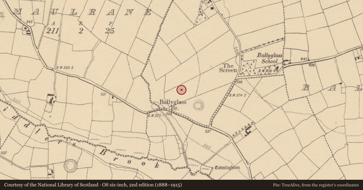 Ordnance Survey six-inch map, 2nd edition (1888–1915) covering the location of Standing stone, Ballyglass, County Cork, with a pin at the register's coordinates