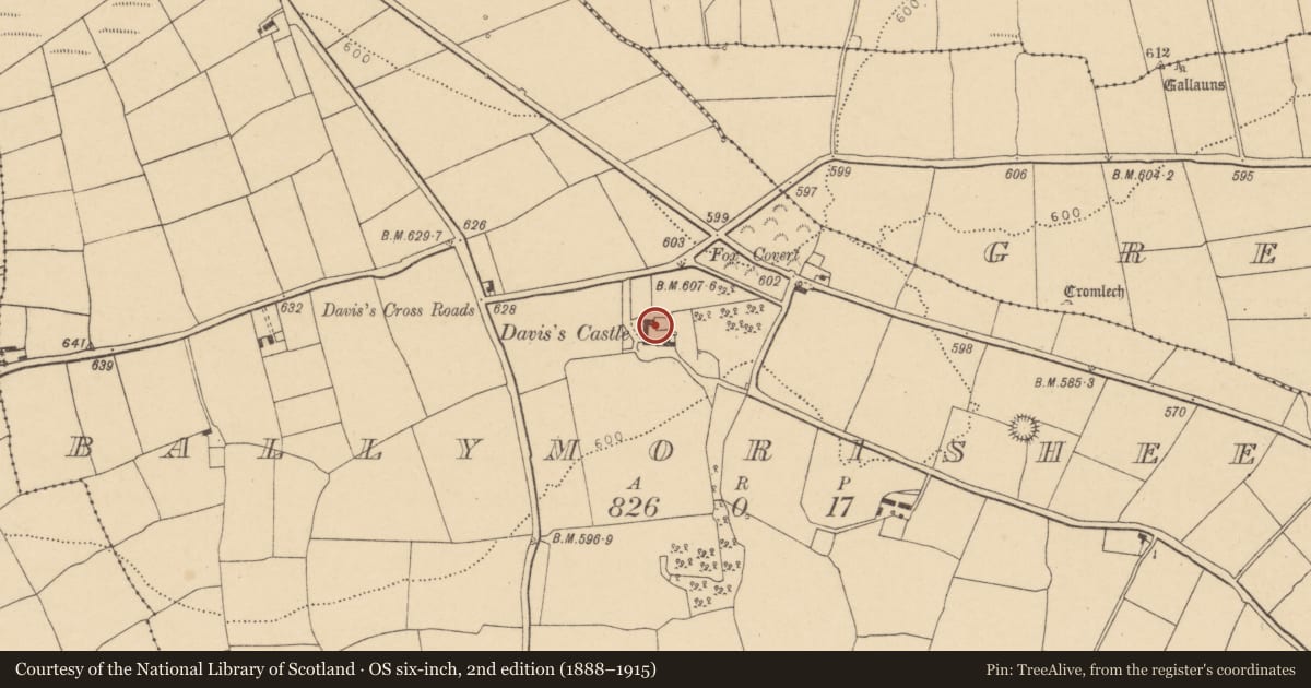 Ordnance Survey six-inch map, 2nd edition (1888–1915) covering the location of Castle - Anglo-Norman masonry castle, Ballymorisheen, County Cork, with a pin at the register's coordinates