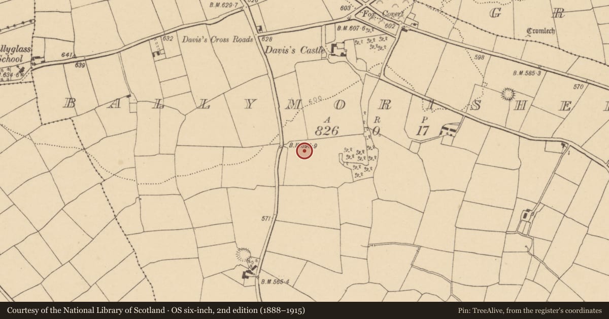 Ordnance Survey six-inch map, 2nd edition (1888–1915) covering the location of Ringfort - rath, Ballymorisheen, County Cork, with a pin at the register's coordinates
