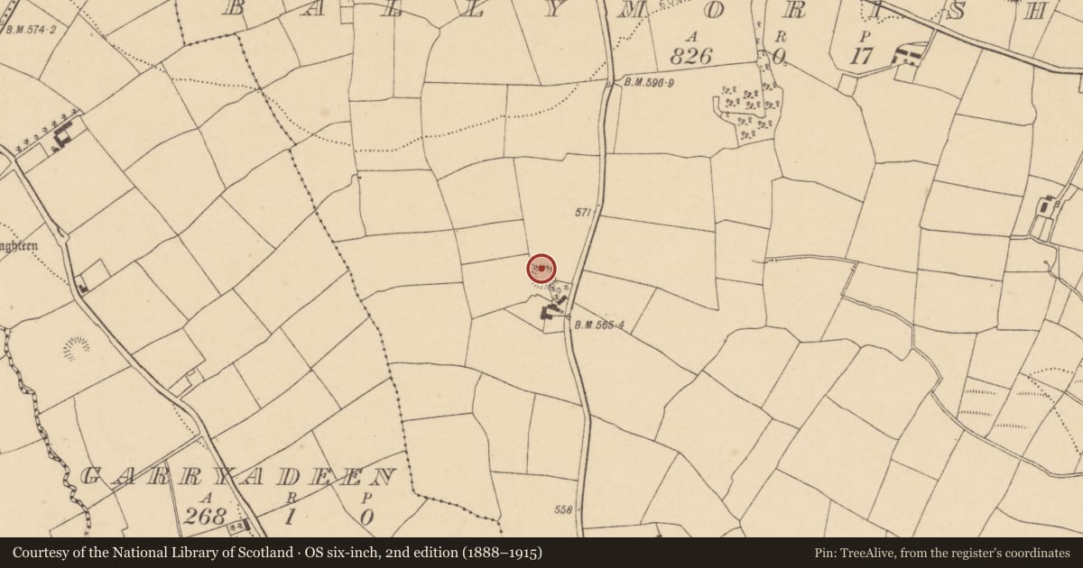 Ordnance Survey six-inch map, 2nd edition (1888–1915) covering the location of Ringfort - rath, Ballymorisheen, County Cork, with a pin at the register's coordinates