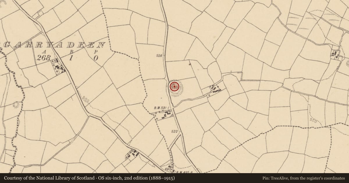 Ordnance Survey six-inch map, 2nd edition (1888–1915) covering the location of Ringfort - rath, Ballymorisheen, County Cork, with a pin at the register's coordinates