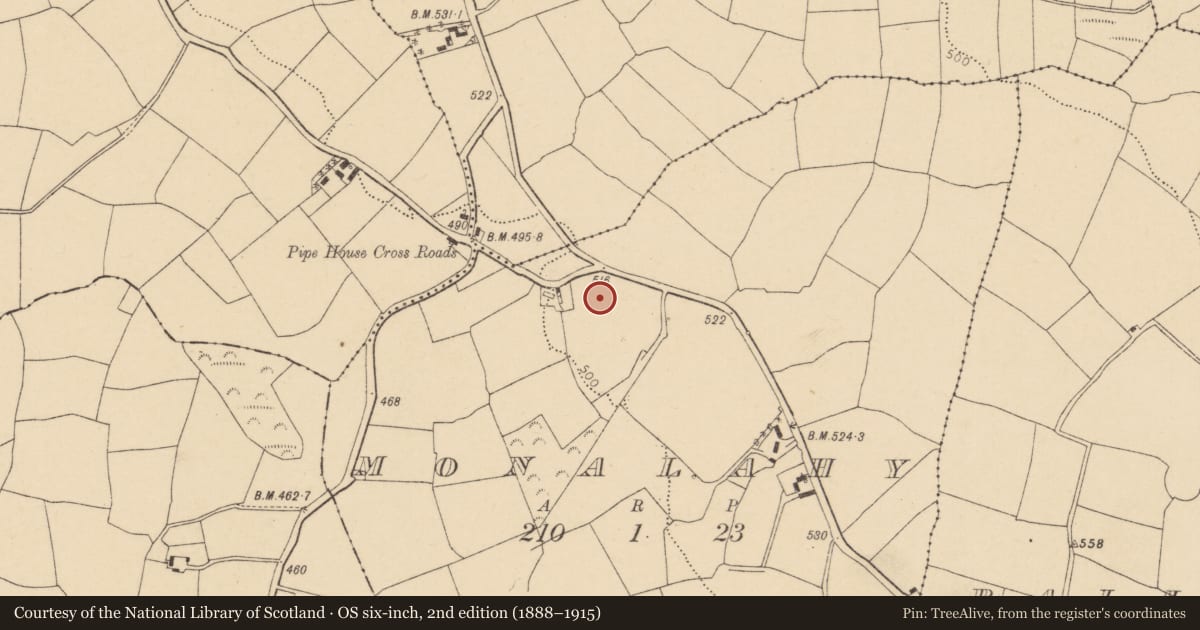 Ordnance Survey six-inch map, 2nd edition (1888–1915) covering the location of Standing stone, Monalahy, County Cork, with a pin at the register's coordinates