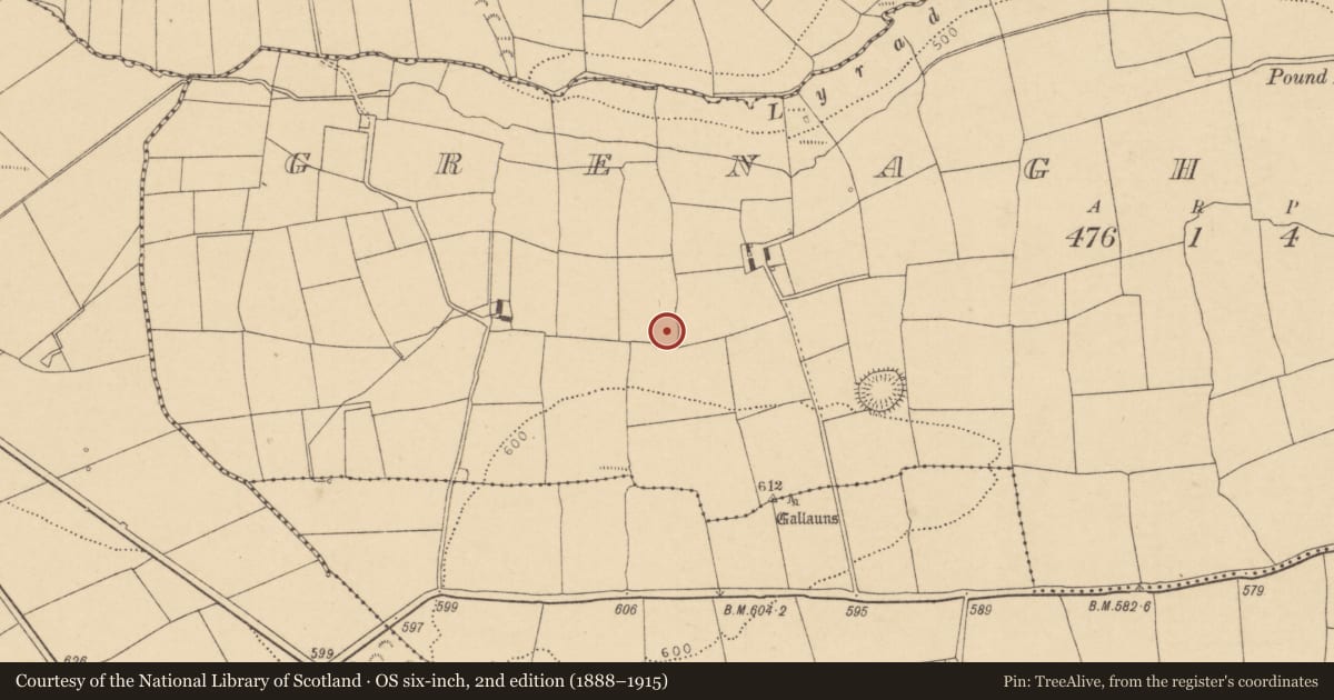 Ordnance Survey six-inch map, 2nd edition (1888–1915) covering the location of Ringfort - rath, Grenagh North, County Cork, with a pin at the register's coordinates