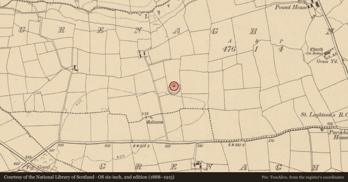 Ordnance Survey six-inch map, 2nd edition (1888–1915) covering the location of Ringfort - rath, Grenagh North, County Cork, with a pin at the register's coordinates