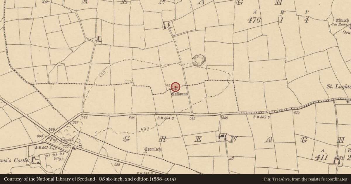 Ordnance Survey six-inch map, 2nd edition (1888–1915) covering the location of Anomalous stone group, Grenagh South, County Cork, with a pin at the register's coordinates