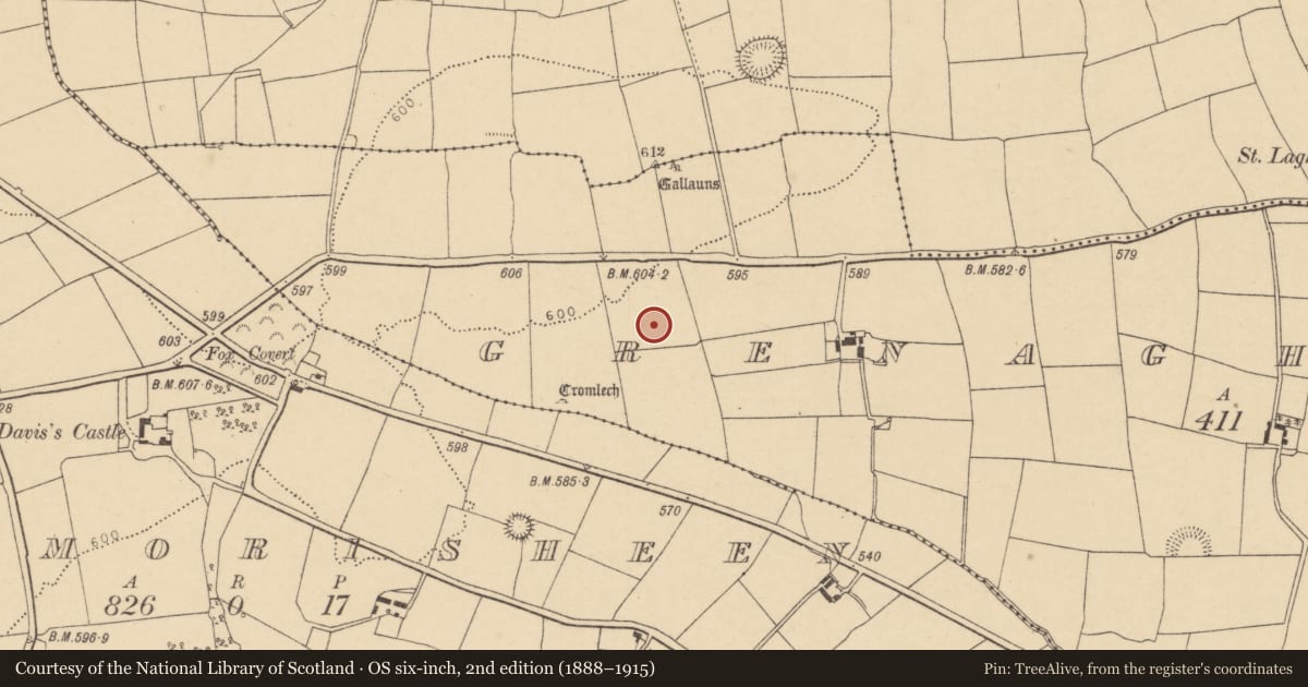 Ordnance Survey six-inch map, 2nd edition (1888–1915) covering the location of Ringfort - rath, Grenagh South, County Cork, with a pin at the register's coordinates