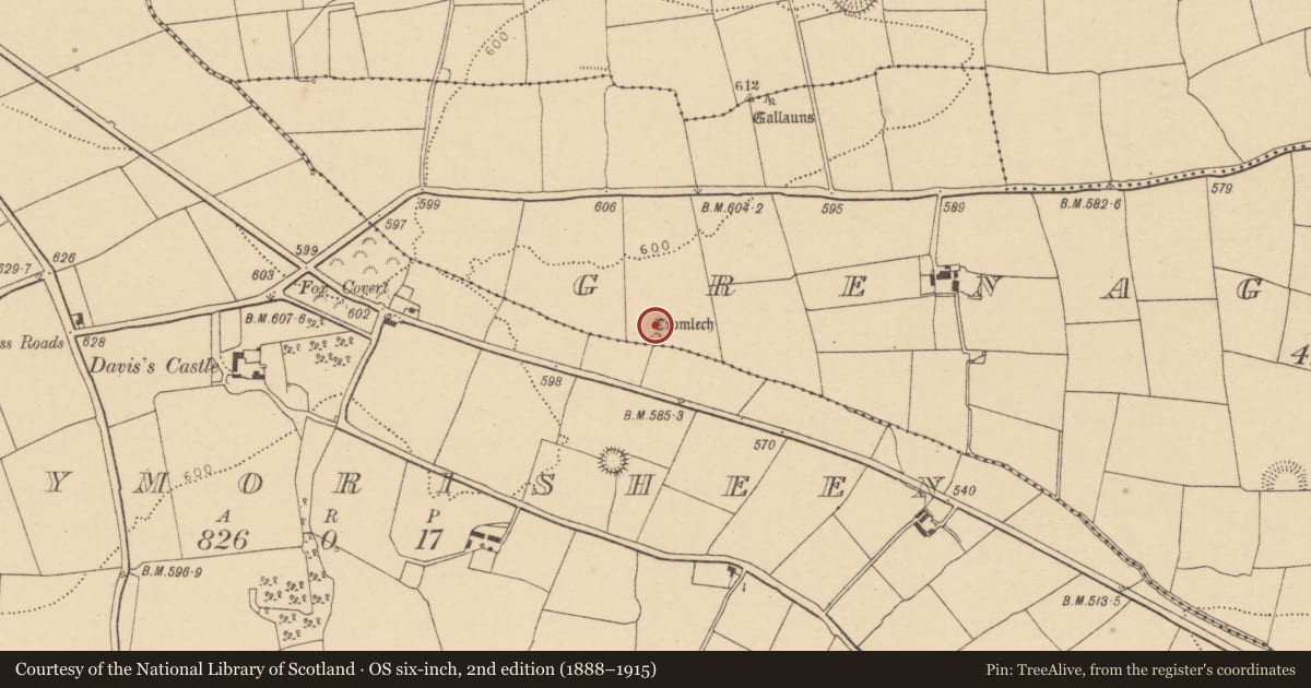 Ordnance Survey six-inch map, 2nd edition (1888–1915) covering the location of Stone circle - five-stone, Grenagh South, County Cork, with a pin at the register's coordinates
