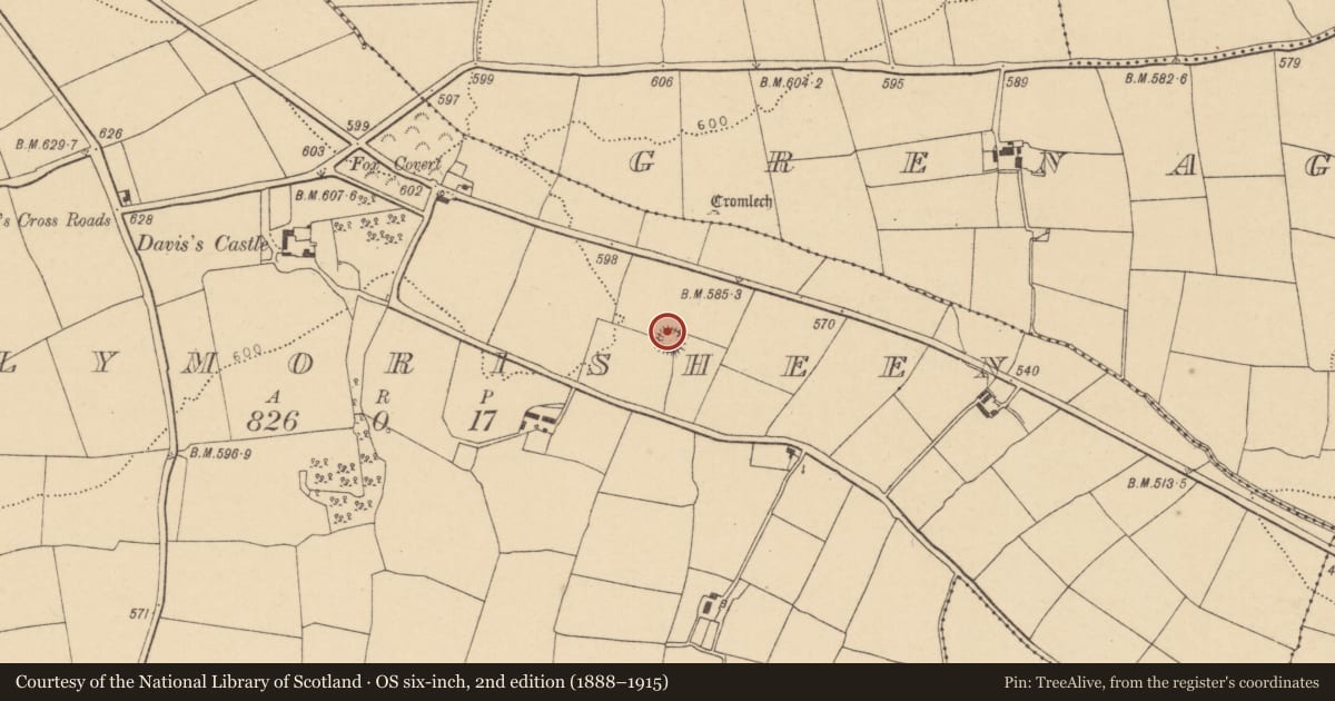 Ordnance Survey six-inch map, 2nd edition (1888–1915) covering the location of Ringfort - rath, Ballymorisheen, County Cork, with a pin at the register's coordinates