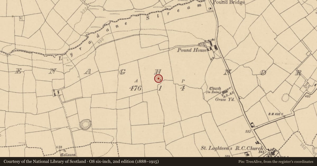 Ordnance Survey six-inch map, 2nd edition (1888–1915) covering the location of Ringfort - rath, Grenagh North, County Cork, with a pin at the register's coordinates