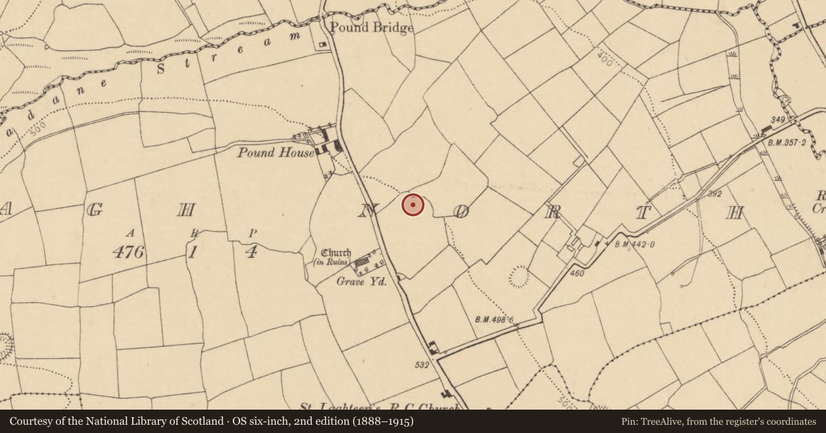 Ordnance Survey six-inch map, 2nd edition (1888–1915) covering the location of Ringfort - rath, Grenagh North, County Cork, with a pin at the register's coordinates