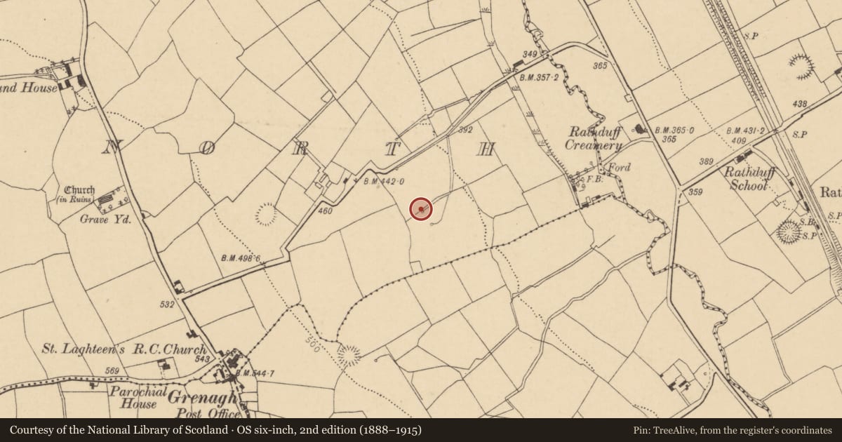 Ordnance Survey six-inch map, 2nd edition (1888–1915) covering the location of Fulacht fia, Grenagh North, County Cork, with a pin at the register's coordinates