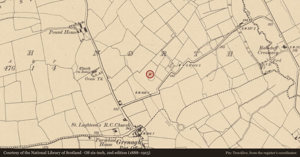 Ordnance Survey six-inch map, 2nd edition (1888–1915) covering the location of Ringfort - rath, Grenagh North, County Cork, with a pin at the register's coordinates