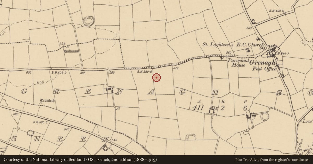 Ordnance Survey six-inch map, 2nd edition (1888–1915) covering the location of Ringfort - rath, Grenagh South, County Cork, with a pin at the register's coordinates
