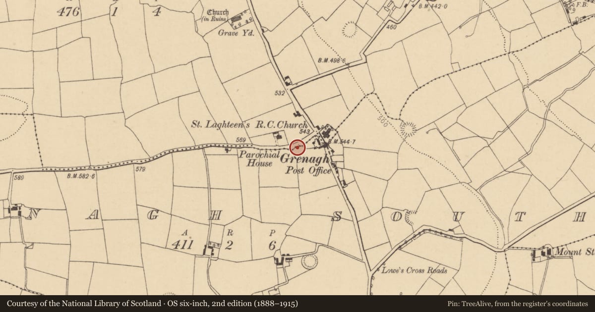 Ordnance Survey six-inch map, 2nd edition (1888–1915) covering the location of Ringfort - rath, Grenagh South, County Cork, with a pin at the register's coordinates