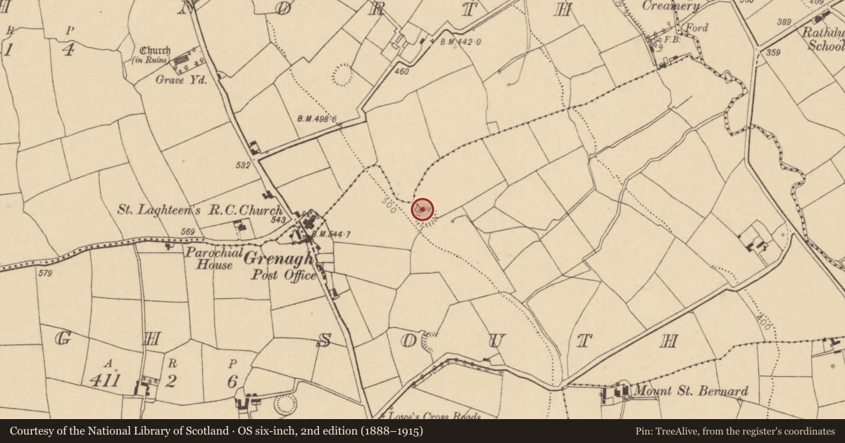 Ordnance Survey six-inch map, 2nd edition (1888–1915) covering the location of Ringfort - rath, Grenagh South, County Cork, with a pin at the register's coordinates