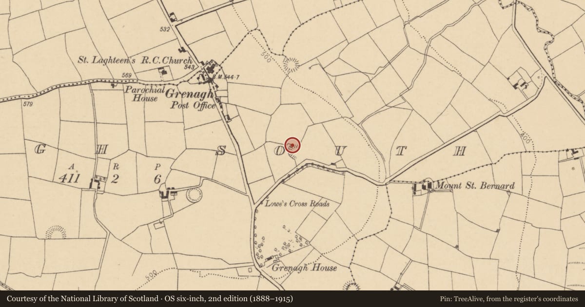 Ordnance Survey six-inch map, 2nd edition (1888–1915) covering the location of Ringfort - rath, Grenagh South, County Cork, with a pin at the register's coordinates