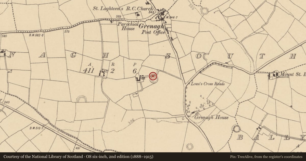Ordnance Survey six-inch map, 2nd edition (1888–1915) covering the location of Ringfort - rath, Grenagh South, County Cork, with a pin at the register's coordinates