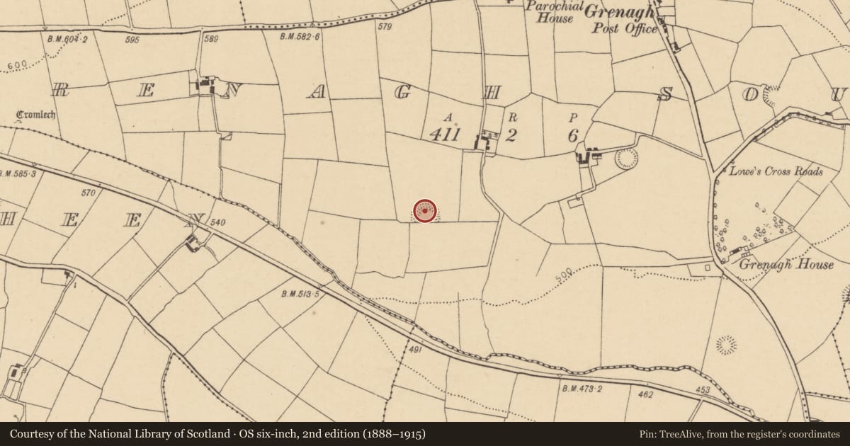 Ordnance Survey six-inch map, 2nd edition (1888–1915) covering the location of Ringfort - rath, Grenagh South, County Cork, with a pin at the register's coordinates