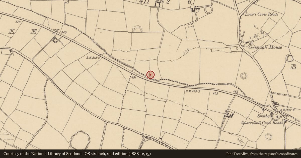 Ordnance Survey six-inch map, 2nd edition (1888–1915) covering the location of Fulacht fia, Grenagh South, County Cork, with a pin at the register's coordinates
