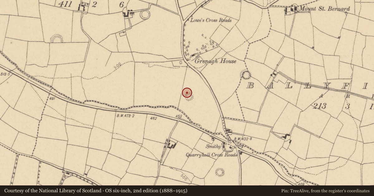 Ordnance Survey six-inch map, 2nd edition (1888–1915) covering the location of Ringfort - rath, Grenagh South, County Cork, with a pin at the register's coordinates