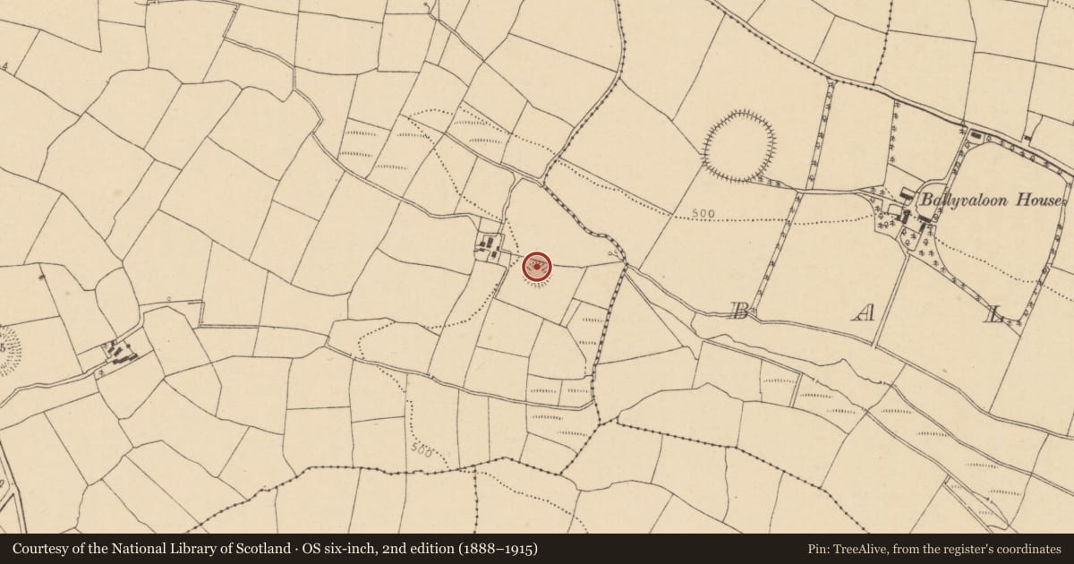 Ordnance Survey six-inch map, 2nd edition (1888–1915) covering the location of Ringfort - rath, Ballymorisheen, County Cork, with a pin at the register's coordinates