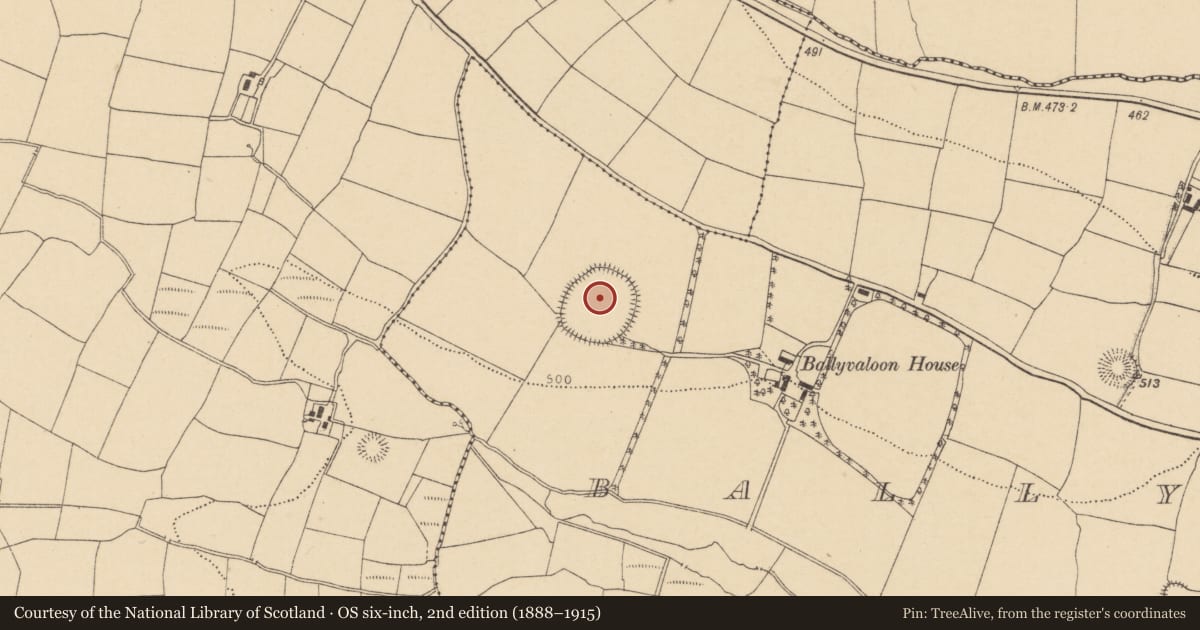 Ordnance Survey six-inch map, 2nd edition (1888–1915) covering the location of Enclosure, Ballyvaloon, County Cork, with a pin at the register's coordinates